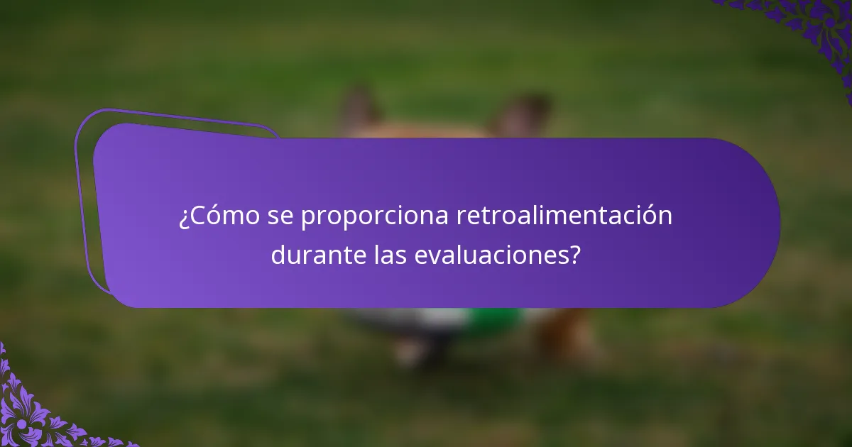¿Cómo se proporciona retroalimentación durante las evaluaciones?