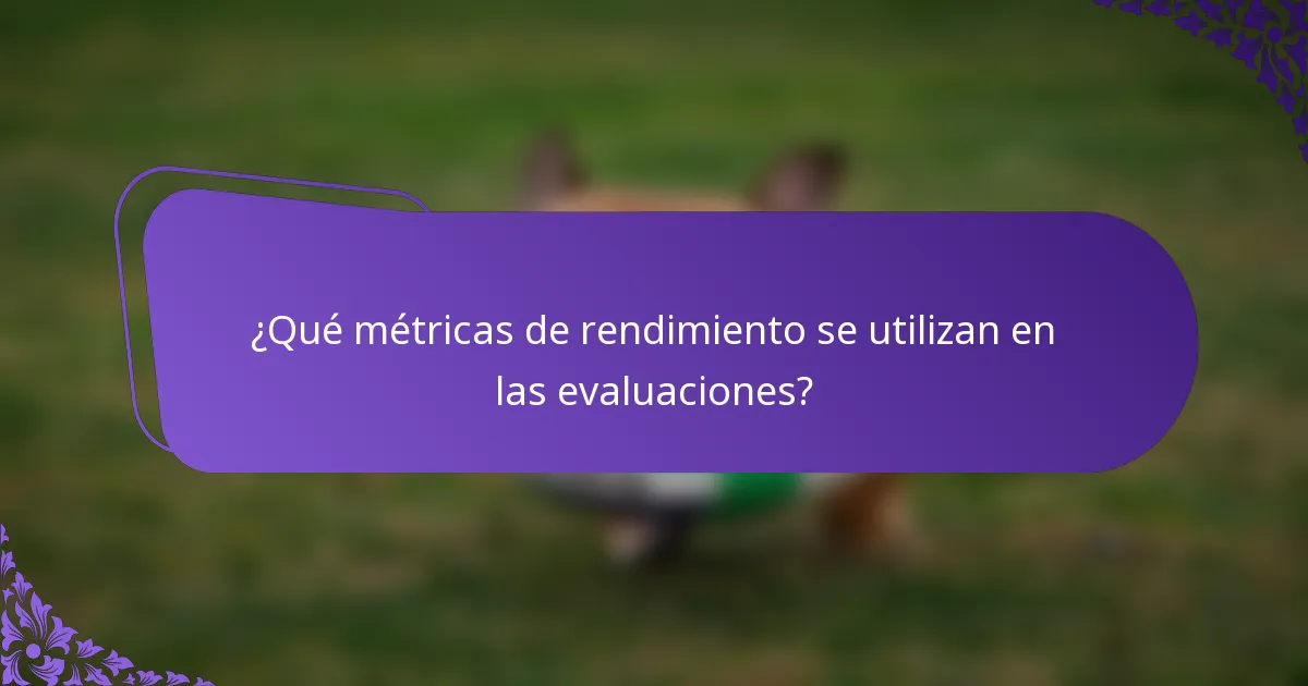 ¿Qué métricas de rendimiento se utilizan en las evaluaciones?